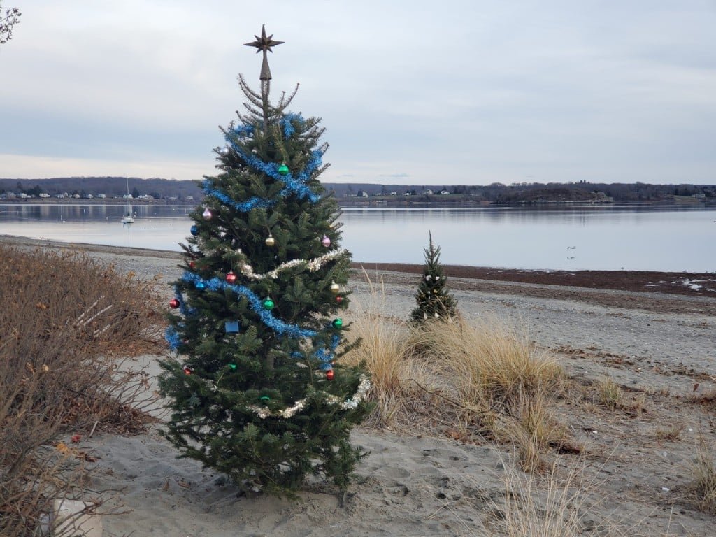 Decorated Christmas tree on Island Park Beach for the holiday lights walk