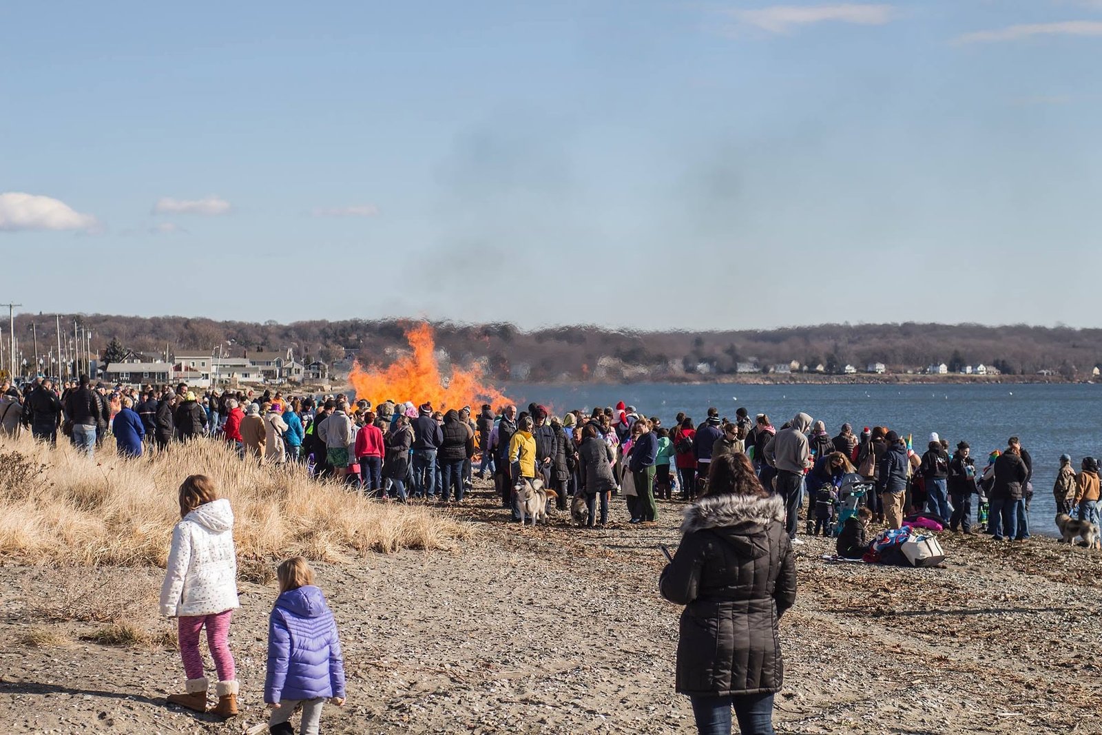 Island Park Polar Dive bonfire and crowd on the shoreline