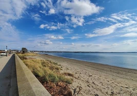 Island Park seawall and shoreline along the bay on a clear day